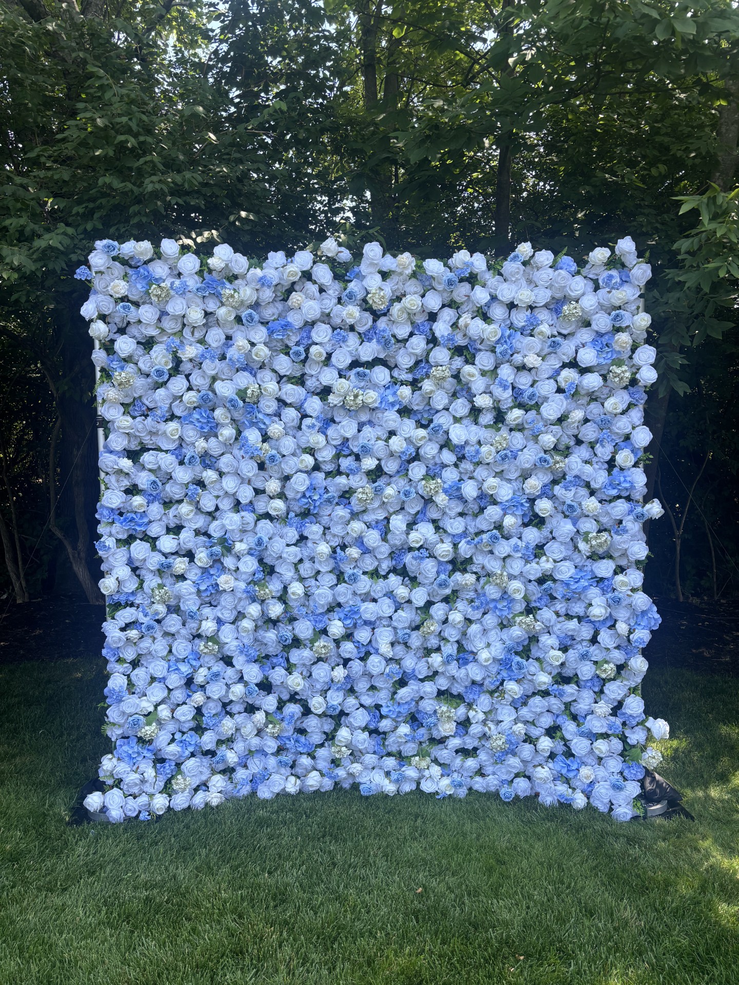blue flowerwall